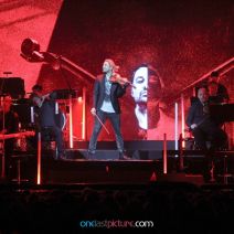 foto_david_garrett_onelastpicture.com14