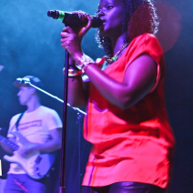 img_887798-001