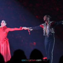 photo_lets_dance_tour_onelastpicture.com18