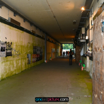 photo_nature_one_2022_onelastpicture.com27