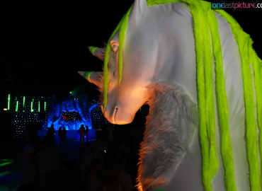 img_883858-048