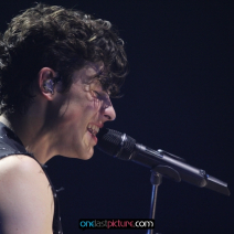 photo_shawn_mendes_the_tour_2019_onelastpicture.com12