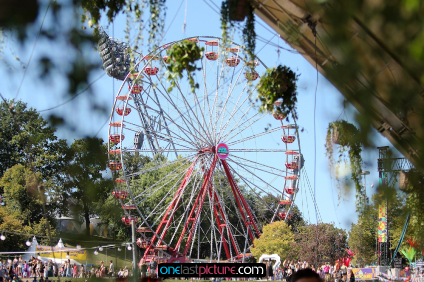 photo_superbloom_festival_onelastpicture.com13