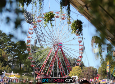 photo_superbloom_festival_onelastpicture.com13