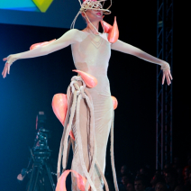 img_88917-020